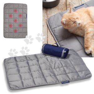 Magnet Blanket with ginger cat