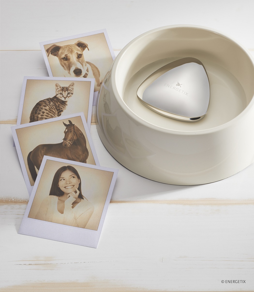 Water bowl with Pet Water Magnet and polaroid photos of a dog, a cat, a horse and a woman. copyright-energetix-2017-wellness-seite30_resized