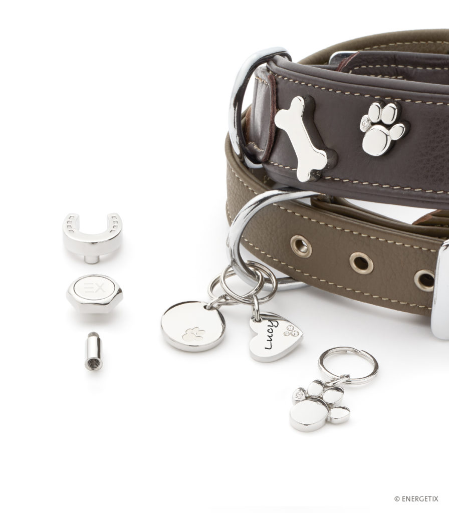 Brown leather pet collar with Magnet Collar Accessories attached - stainless steel bone shape, paw shape with Swarovski crystal, and Magnet Pendants in paw, heart and circle shapes