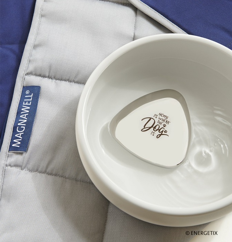 An ENERGETIX Magnet Blanket with a bowl of water on top with a Magnet stone inside, engraved with 'home is where the dog is'