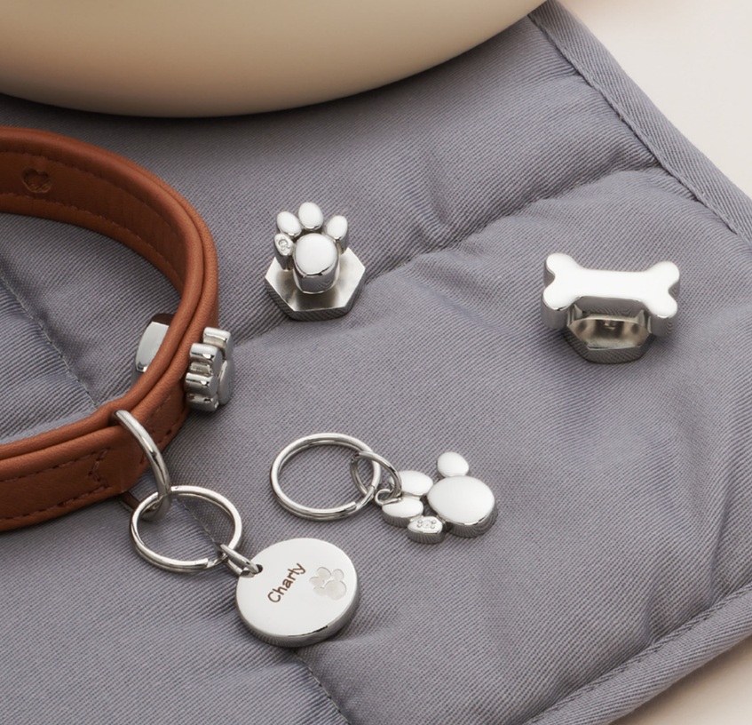 An ENRGETIX Magnet Blanket with a dog collar on top with an engraved Magnet Pendant. The blanket also has a selection of other Pet Magnetic Collar Accessories.